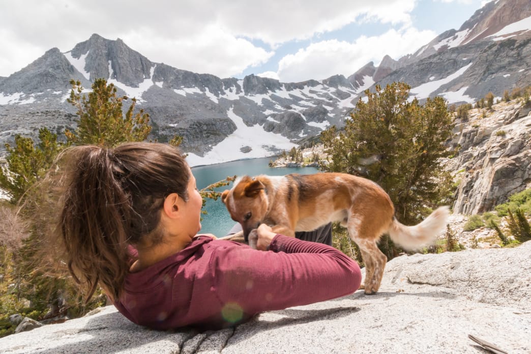 How to Travel 18,000 Miles With Your Dog
